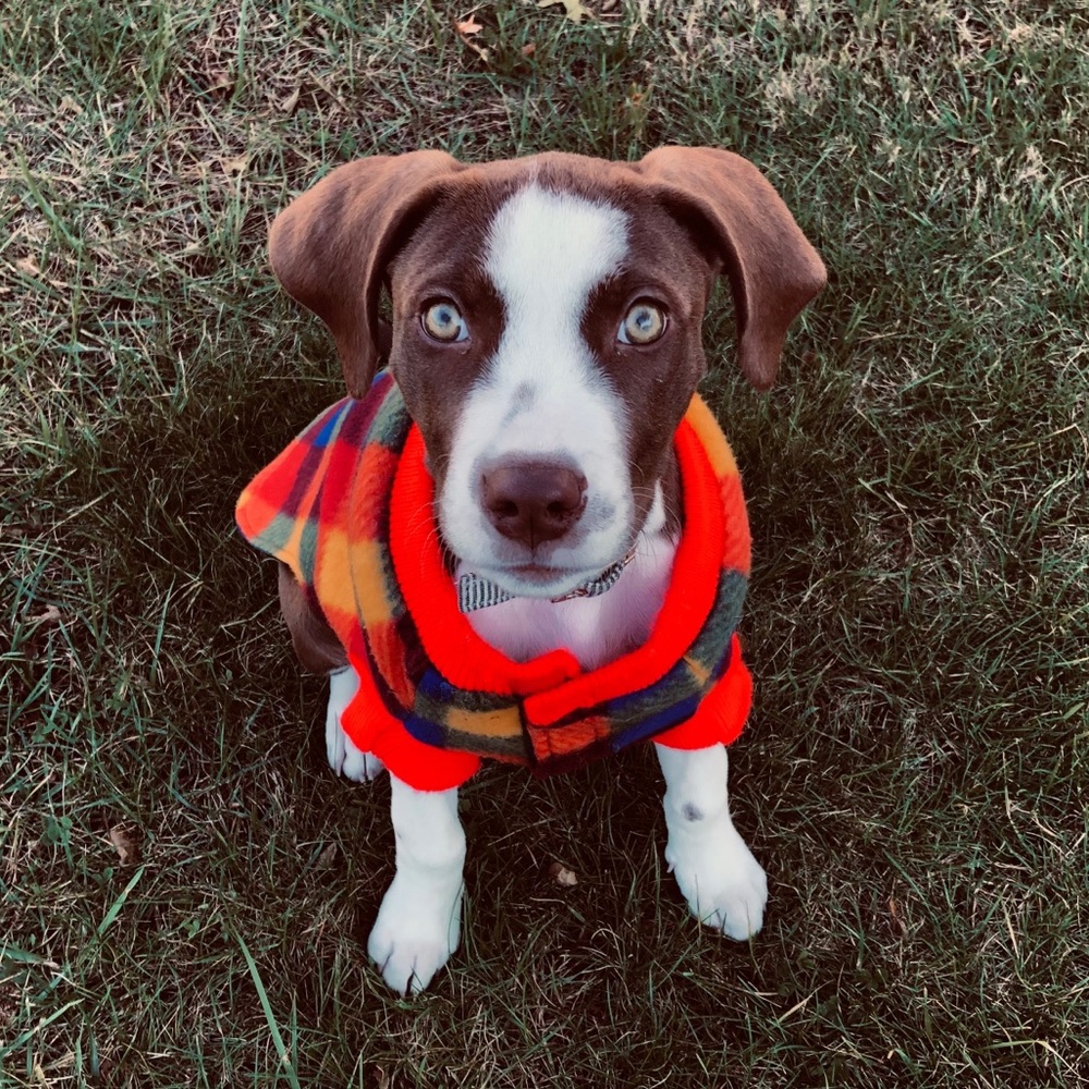 Reversible M Jacket Plaid Fleece Navy Rain